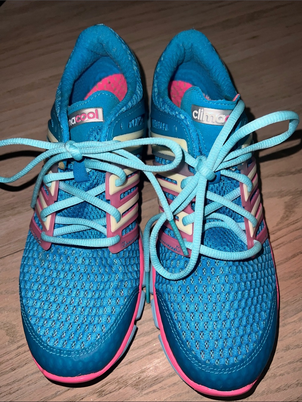 adidas Teal and Pink Mesh Running Shoes